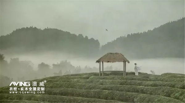 澳威全屋定制：真正的高贵是一种底气4